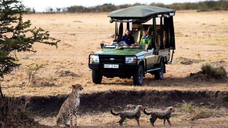 121155-Safari-Experience-003