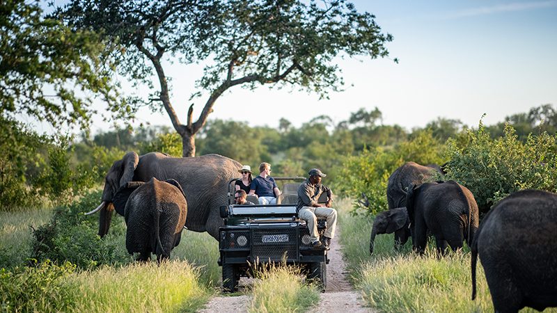 638c37b45b1f46336207e184_elephant-game-drive-south-africa