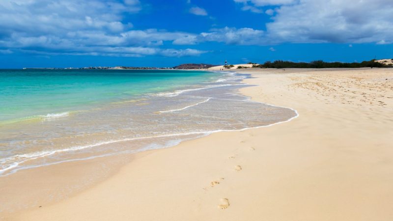 AdobeStock_827371169-1400x1050