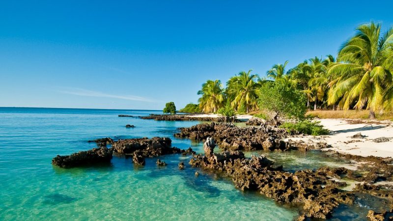 BANNER_Stock_Mozambique_Quirimbas_JustinFox