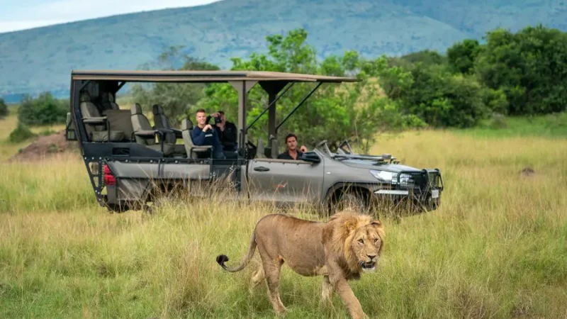 Blog-Rwanda-Why-Go-images-Drive-Safari-magashi