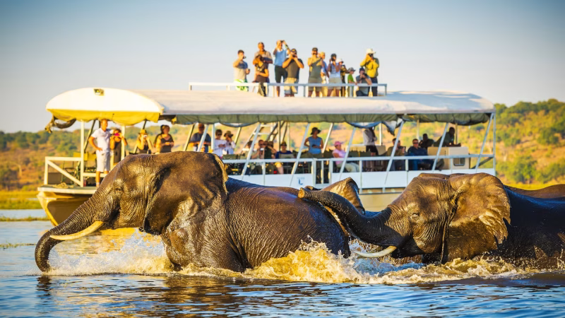 Botswana-Chobe-THP-Creative-shutterstock_470543444-RFE