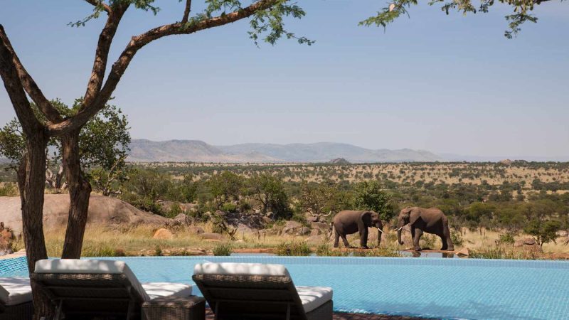 Four-Seasons-Safari-Lodge-Serengeti-2-577c05e13df78cb62c66fd9a