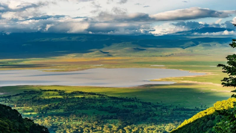 IM_TZ_NCAA_Lions-Paw-Camp_Scenery-4-1960x800