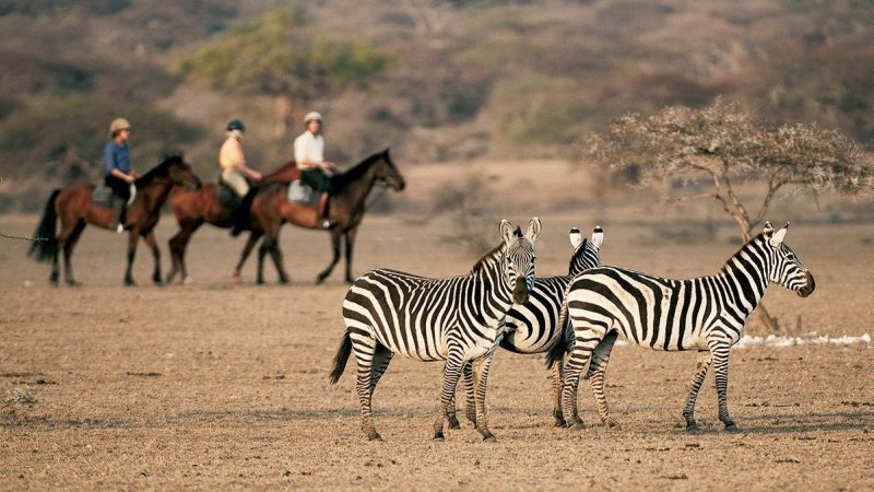Kenya_SouthEastChyuluHills_GreatPlainsOlDonyoHorseRidingWithZebra