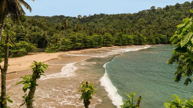 Micomdo-Sao-Tome-Principe-