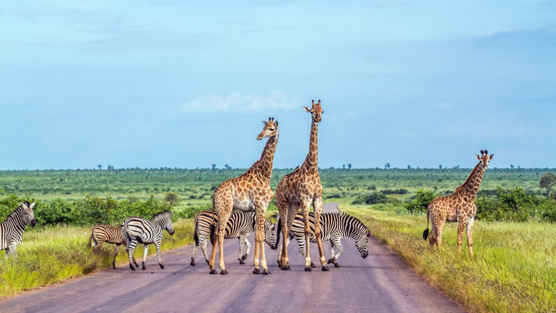 Shutterstock786552829