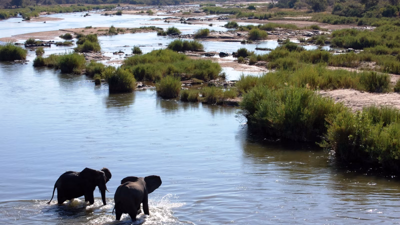 ann_top_Kruger_National_Park_zBWBoF