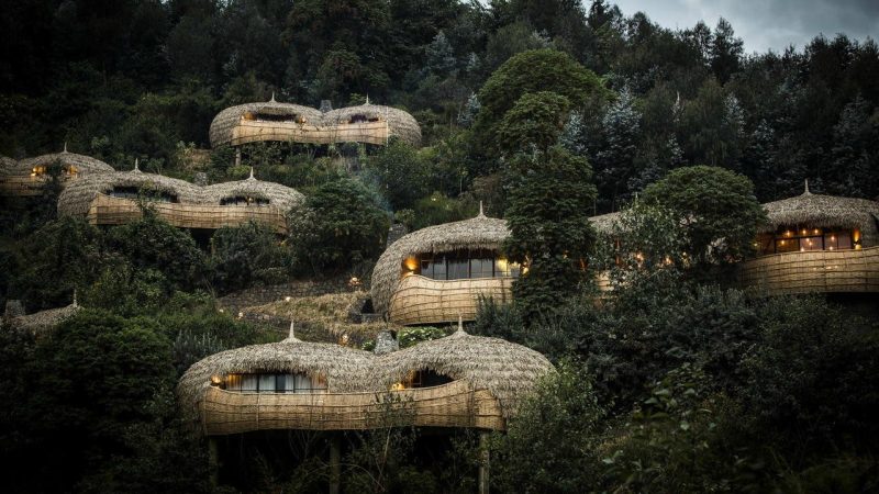 bisate-lodge-rwanda-safari