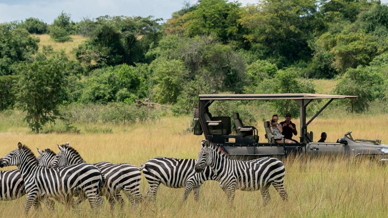 game-drive-magashi-rwandas-luxurious-big-five-safari