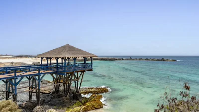 hotel-barcel-marine-boa-vista-adults-only-sal-rei-isla-de-boa-vista-20260223135815592500