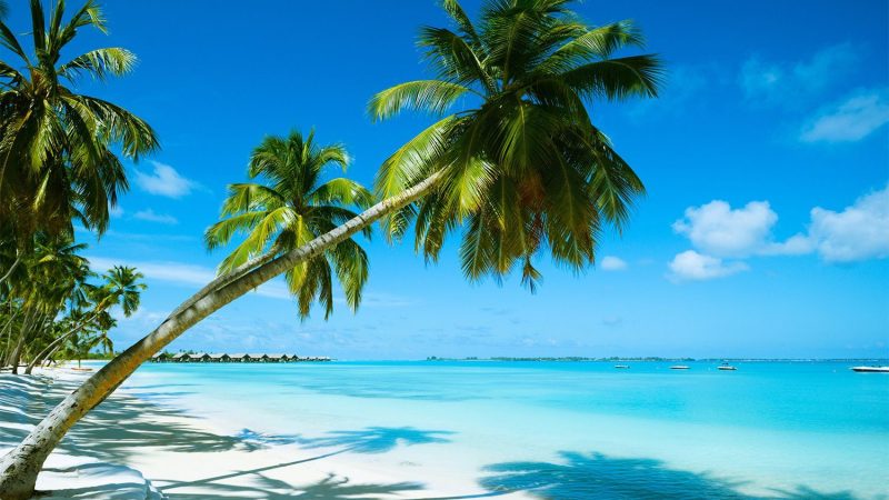 istock-171579629-97294-1