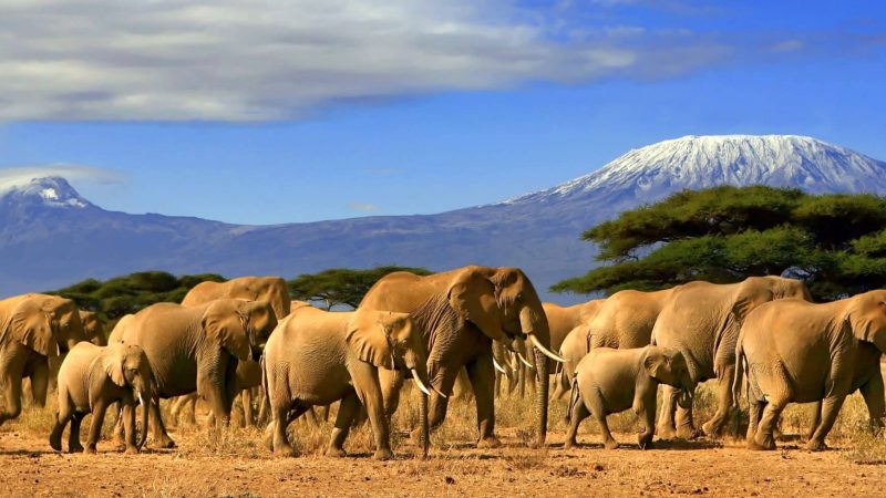 private-africa-header-01-scaled