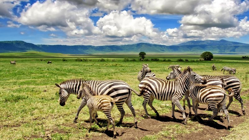 shutterstock_214032796