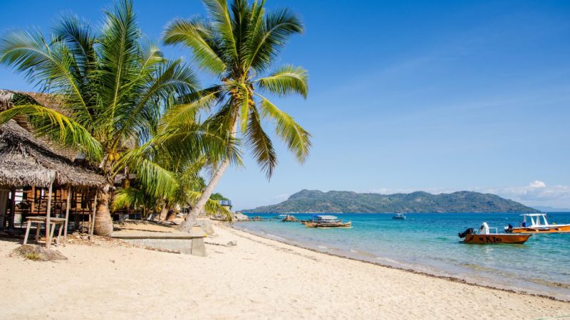 shutterstock_233850808-Nosy-Komba-1024x663