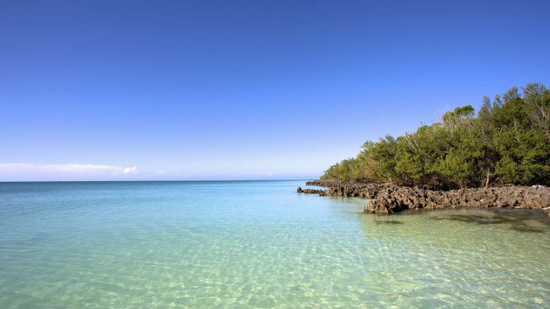 tranquil-clear-water-along-the-coast-560120829-7f347a525218407096bd99450615b8de