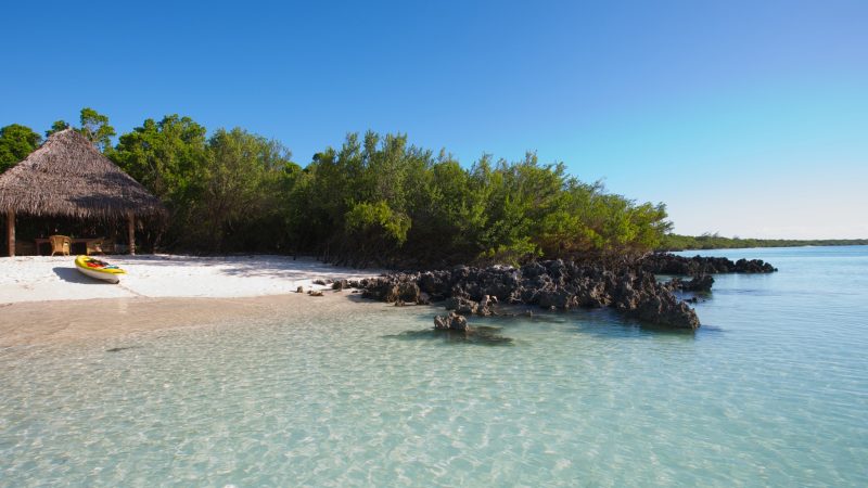 vamizi-island-suluwilo-beach